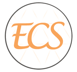 Experts Conseils Services